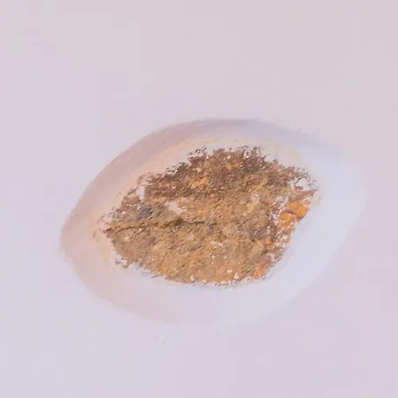 Varidi * Varidhion